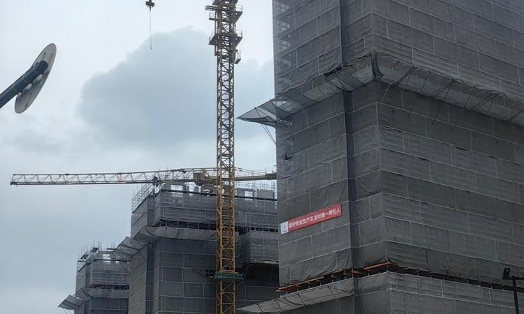 吴淞道1号施工进度图