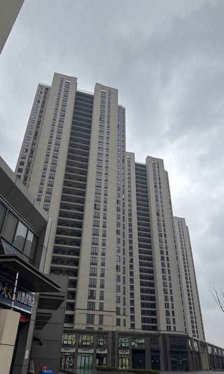 德信江宸施工进度图