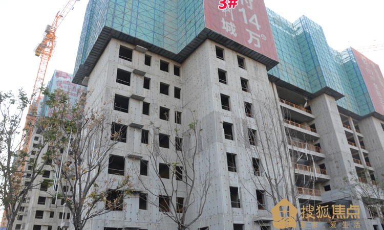淄博保利城施工进度图