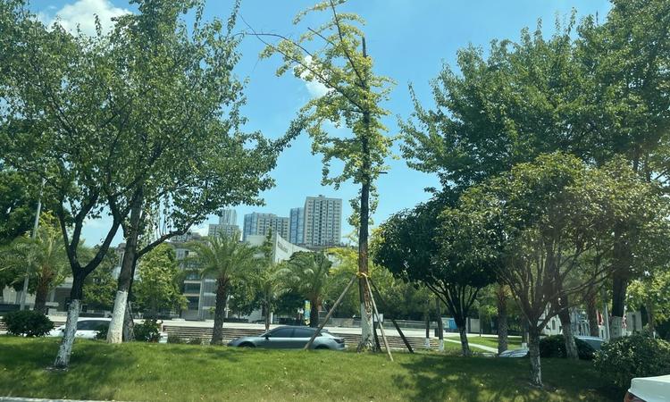 凯德九章实景图