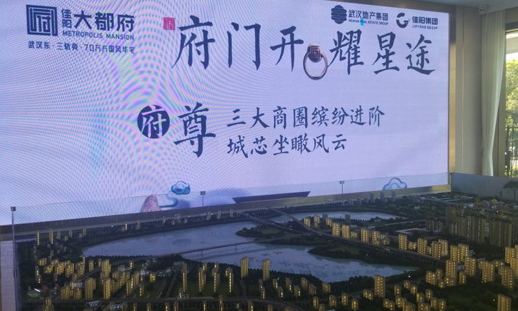 佳阳大都府实景图