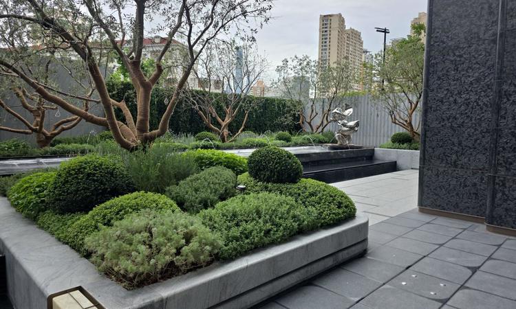 绿城·黄浦ONE实景图
