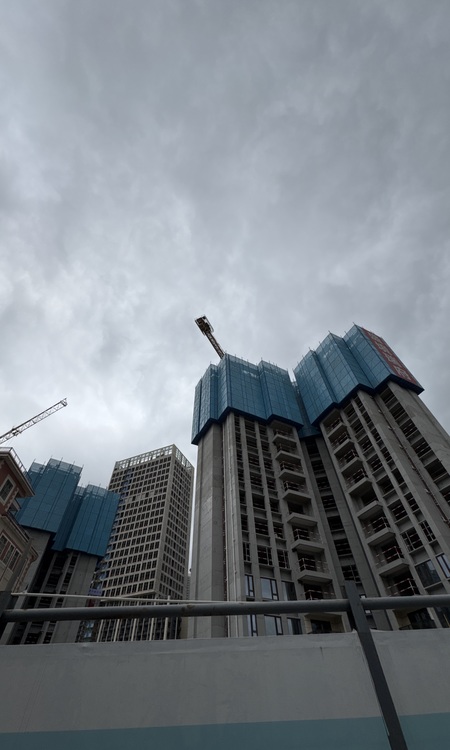 星河盛境·瑞府施工进度图