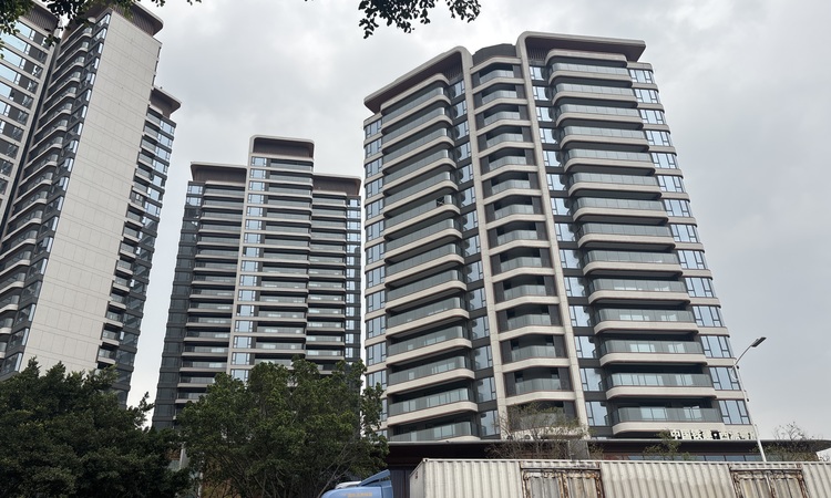 中国铁建·西派粤府施工进度图
