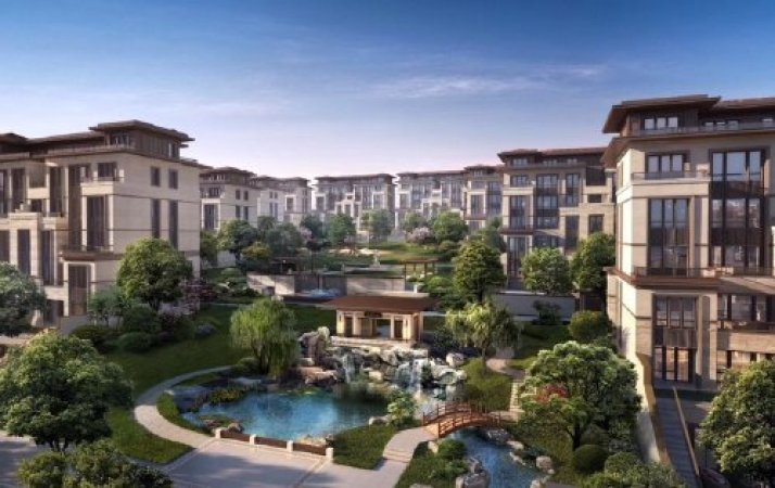 金象泰梧桐墅周边配套图