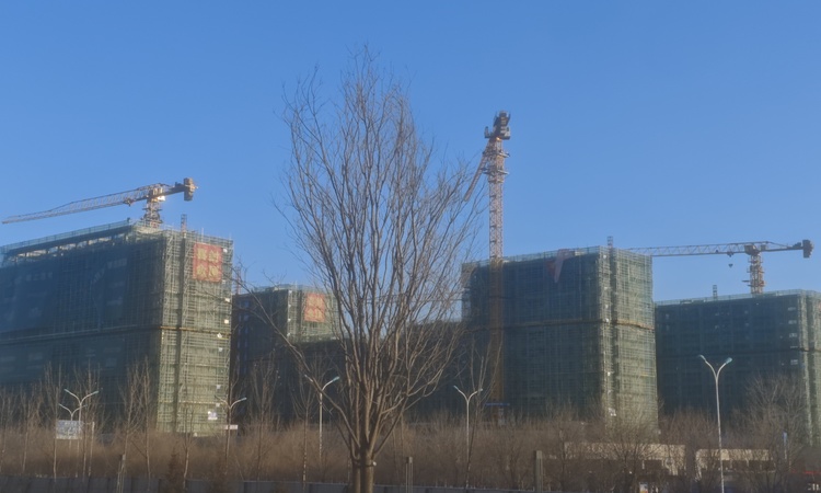 滨旅·品致鸿熙施工进度图