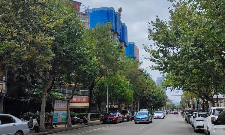 众安白马御府实景图