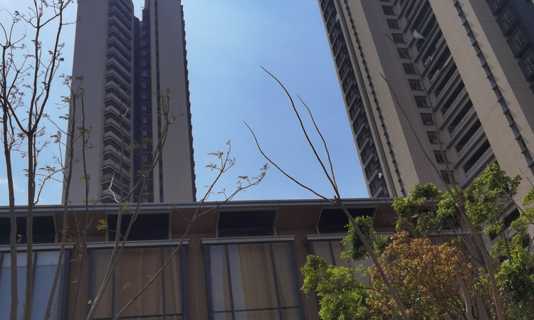 卓越滇池晴翠施工进度图