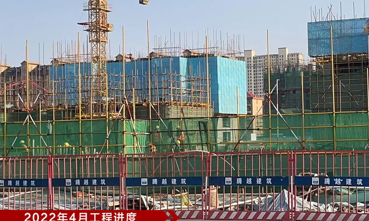 碧桂园·凤麟府施工进度图