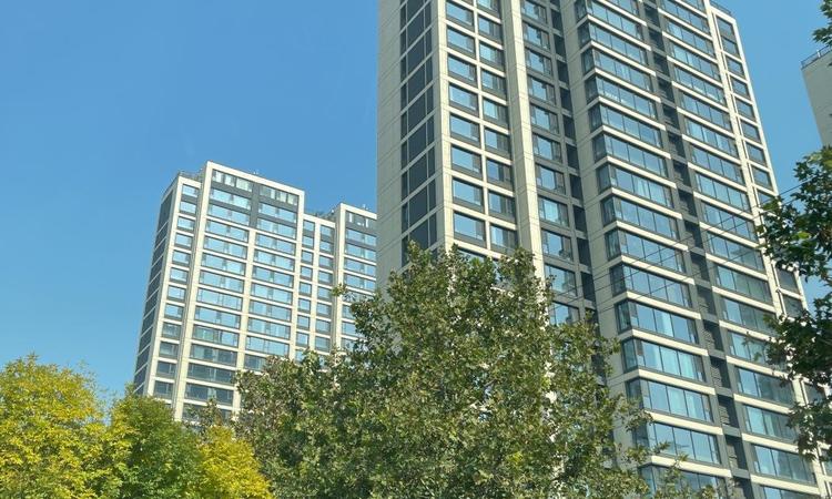 盛邦九号院实景图