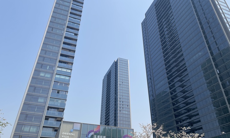 绿城湖畔雲庐施工进度图