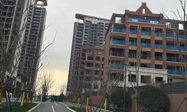 金地国际城施工进度图