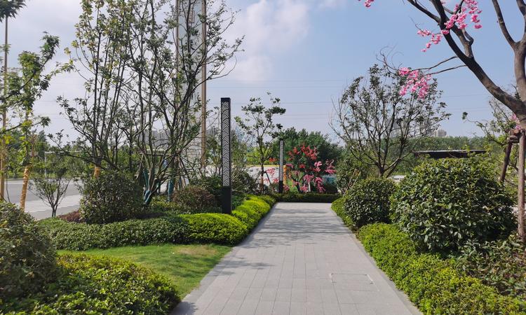 东投文昌府实景图