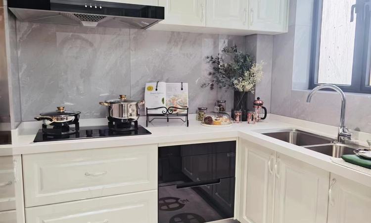 霸王花东城国际样板间