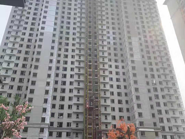 上上国风2期·东府施工进度图