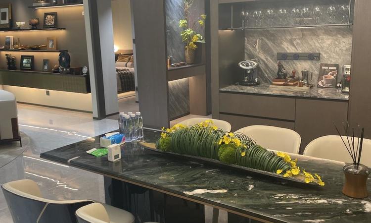 兴创·沐春墅样板间