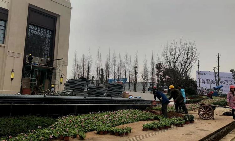 万为融信·翡翠御园实景图