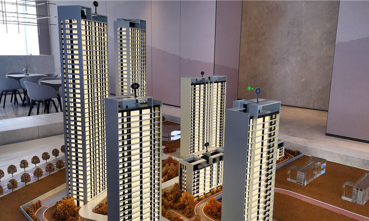 曲江城市树实景图