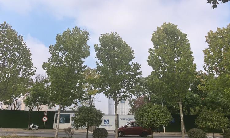 城投融创国博城周边配套图