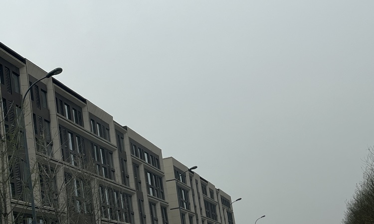 四季春晓施工进度图