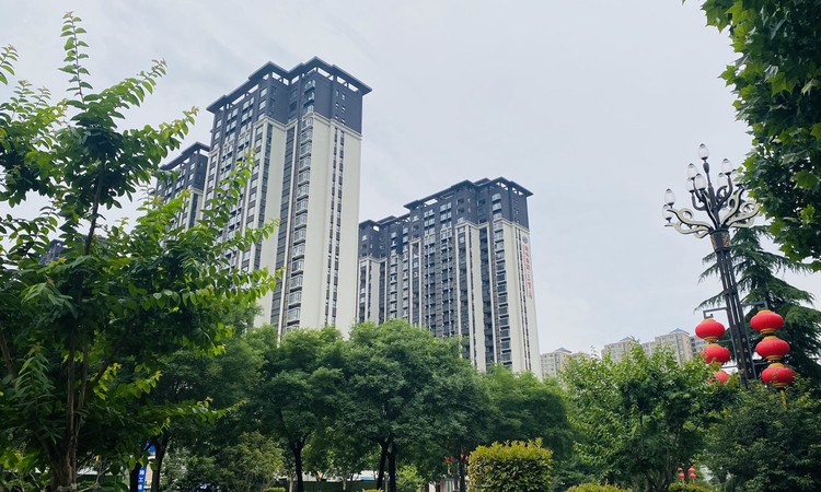 海兴国际施工进度图