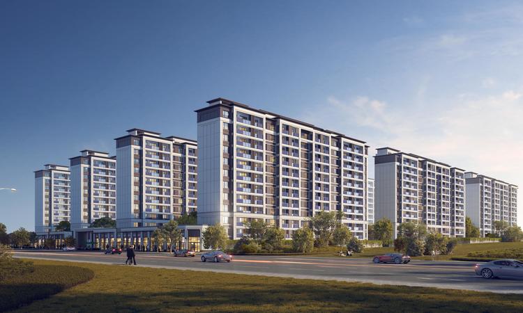 香开长龙效果图