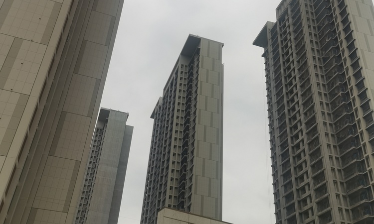 葛店建投金地博雅园施工进度图