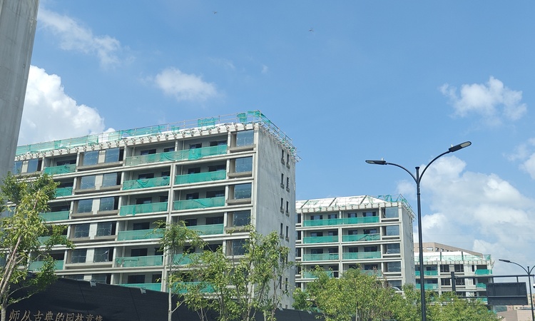 桃境满元里施工进度图