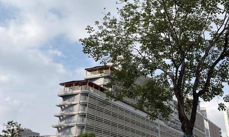 安联尚璟府周边配套图