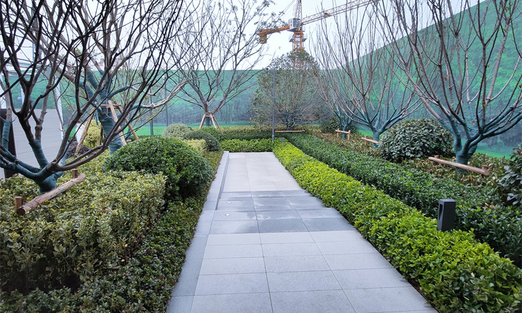 融创·山河大观实景图