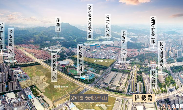 碧桂园·云悦半山实景图