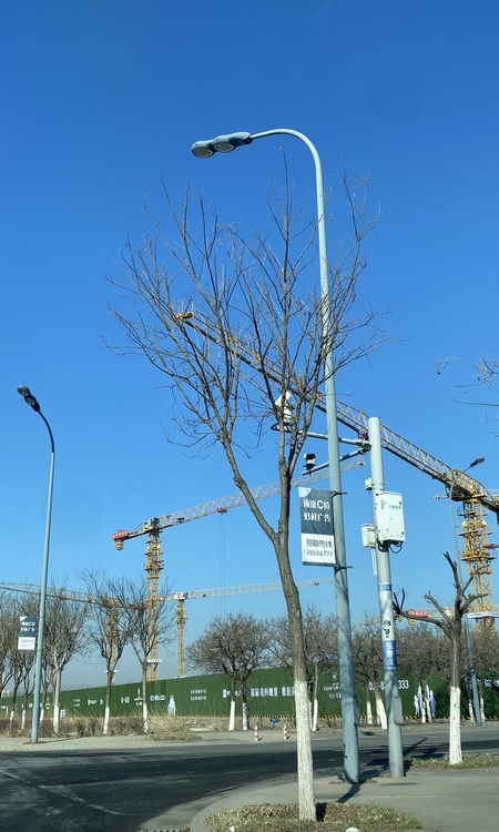 中海长林郡施工进度图