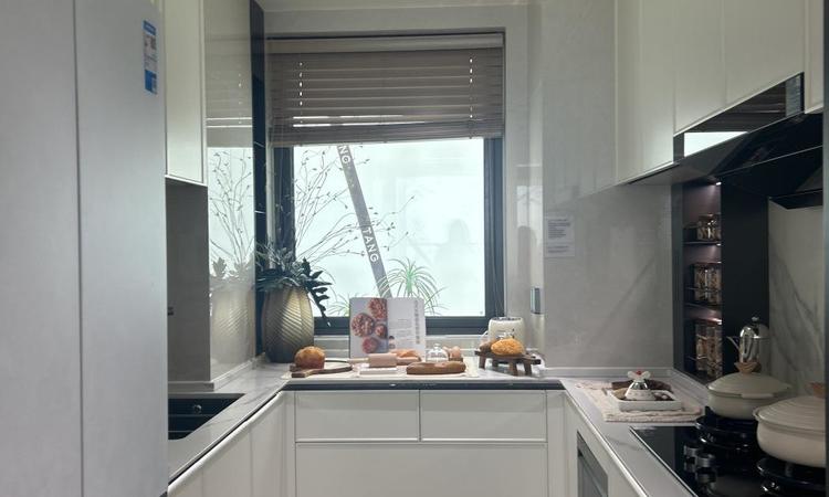 金茂棠前样板间