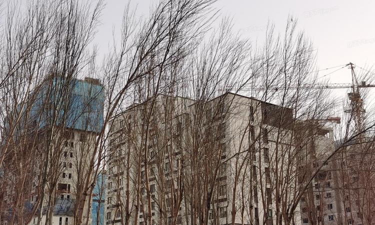 中海锦城实景图