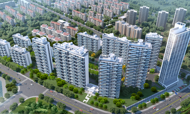 中海金线鼎效果图