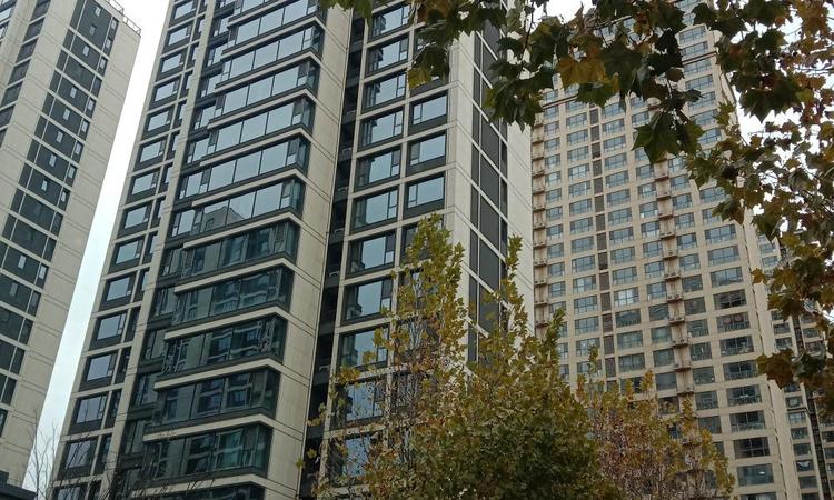 盛邦九号院施工进度图