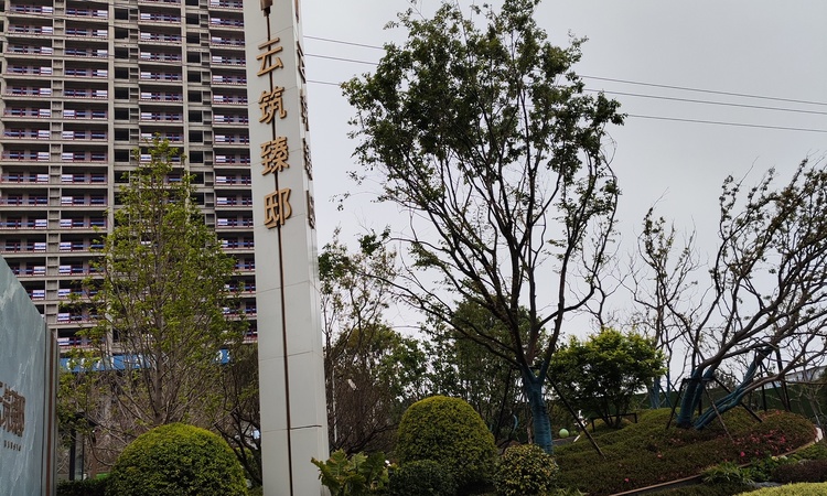 绿城云筑臻邸施工进度图