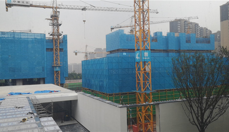 曲江城市树施工进度图