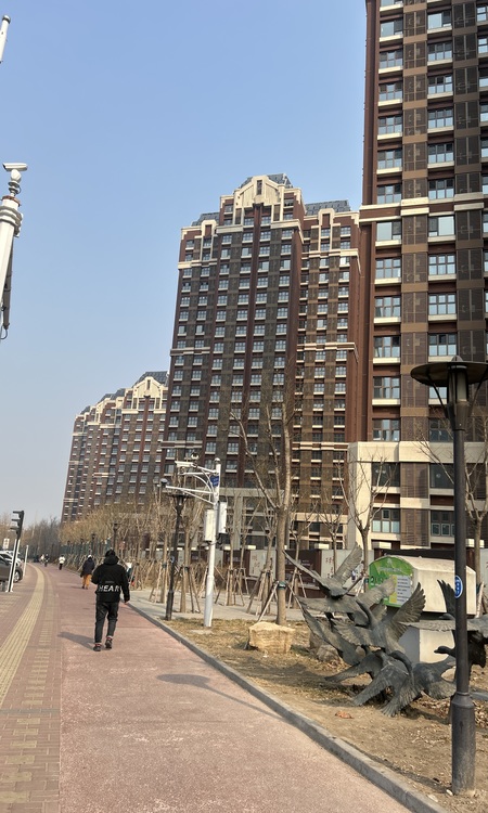 和溪园施工进度图