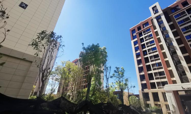 绿地大都会实景图