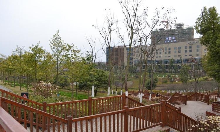 高新现代城周边配套图