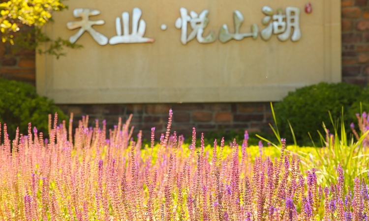 天业悦山湖实景图