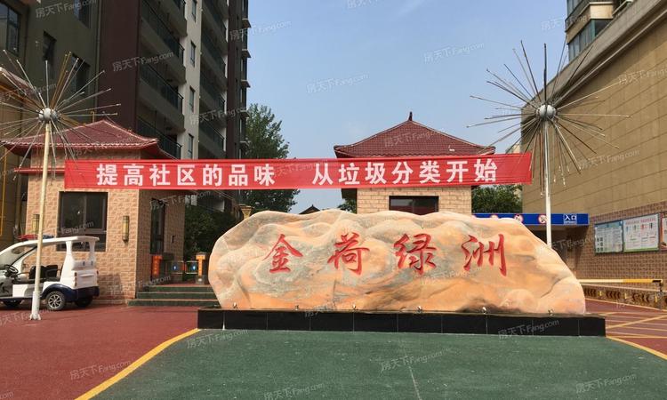 金荷绿洲实景图