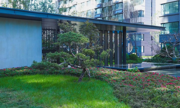 海信翰墨府实景图