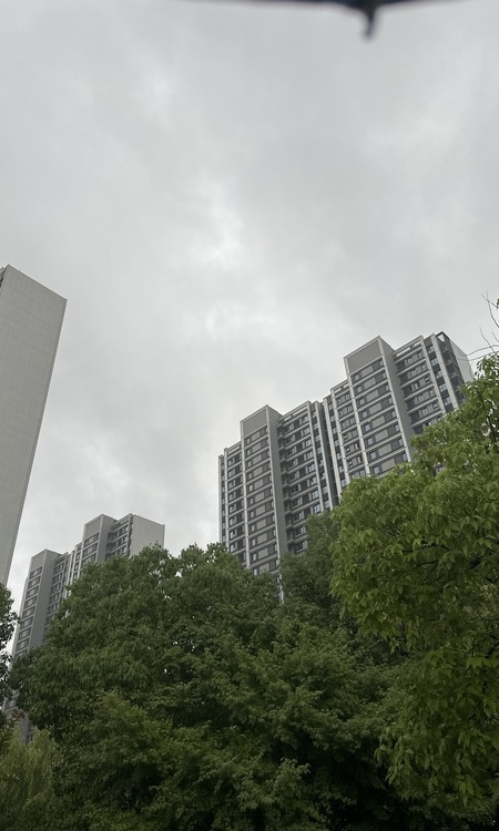 璞境施工进度图