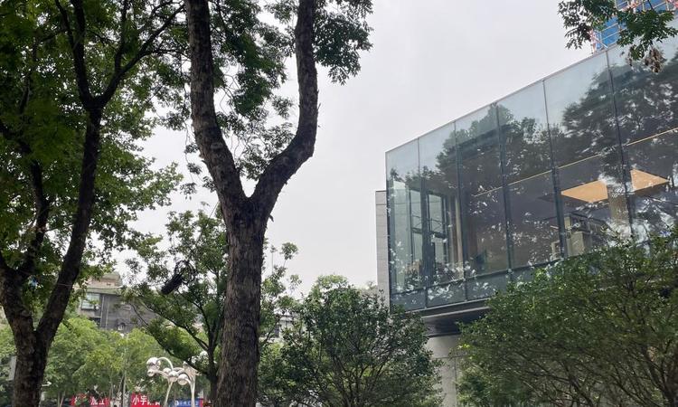 中交澄园实景图