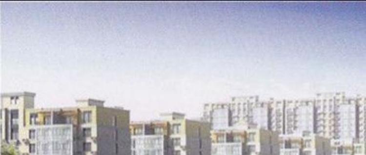 金鑫·盐湖城实景图
