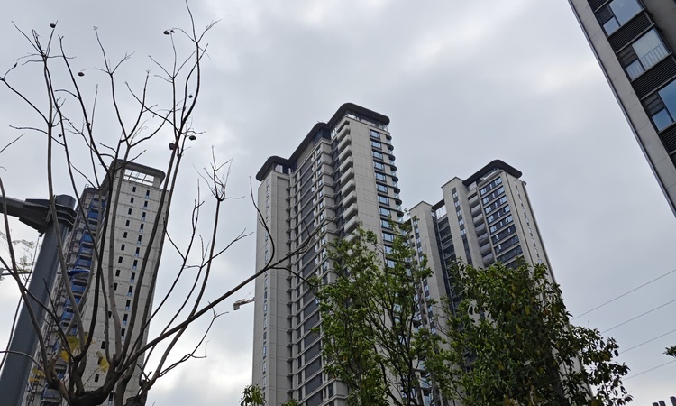 锦粼天曜施工进度图