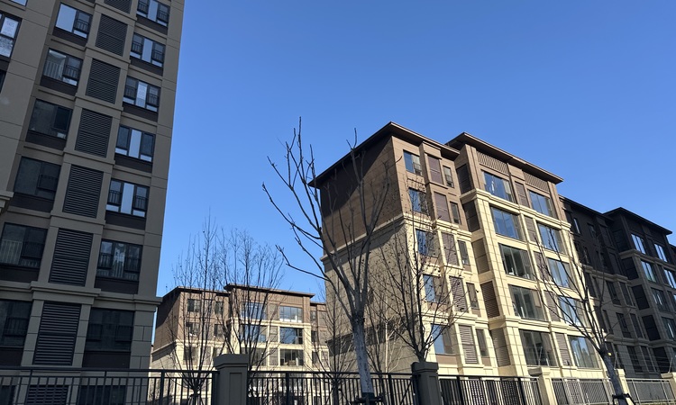 金辉城中央云著施工进度图