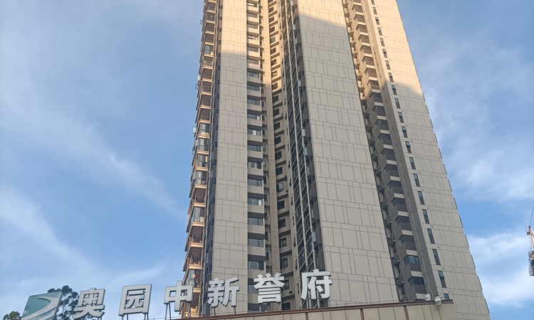 奥园中新誉府实景图